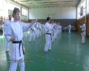 0324karate_v