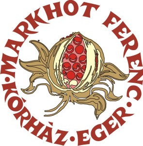 Markhot_Ferenc_korhaz_emblema