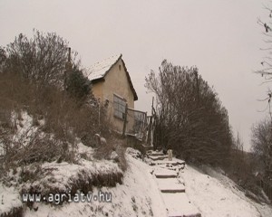 0110ozd_V