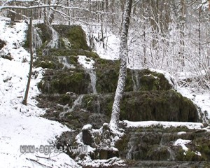 0204vizeses_v