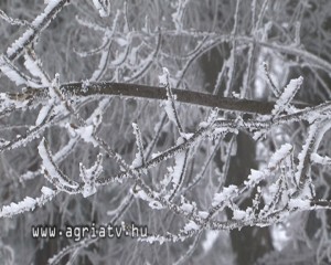 0326kekes_v