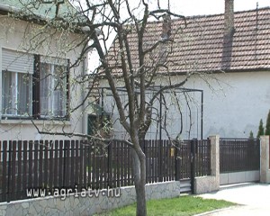 0421petervasara_gyilok_v