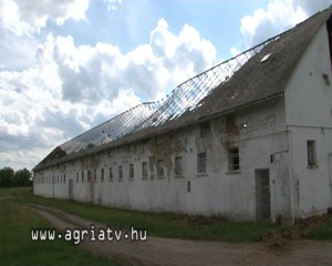 0521kapolna_tuz_v
