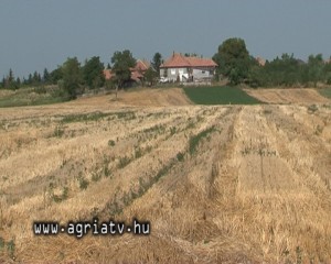 0808szihalom_buz_v