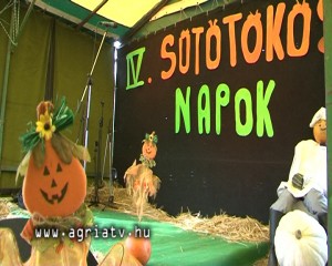 1102tok_v