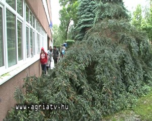 0515balassi_fa_v