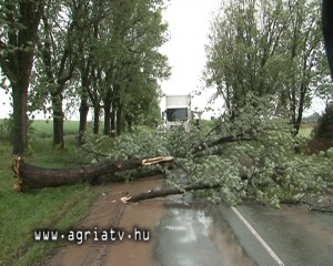 0515kerecsend fa_v