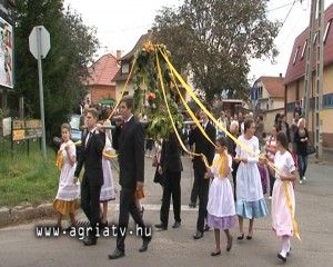 1004felnemet_szuret_v