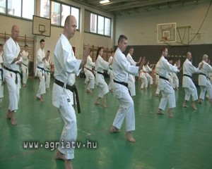 0321karate_v