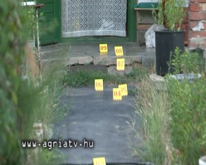 0811ludas_szurkalas_v