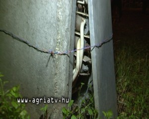 1111aramutott_kutya.Still001